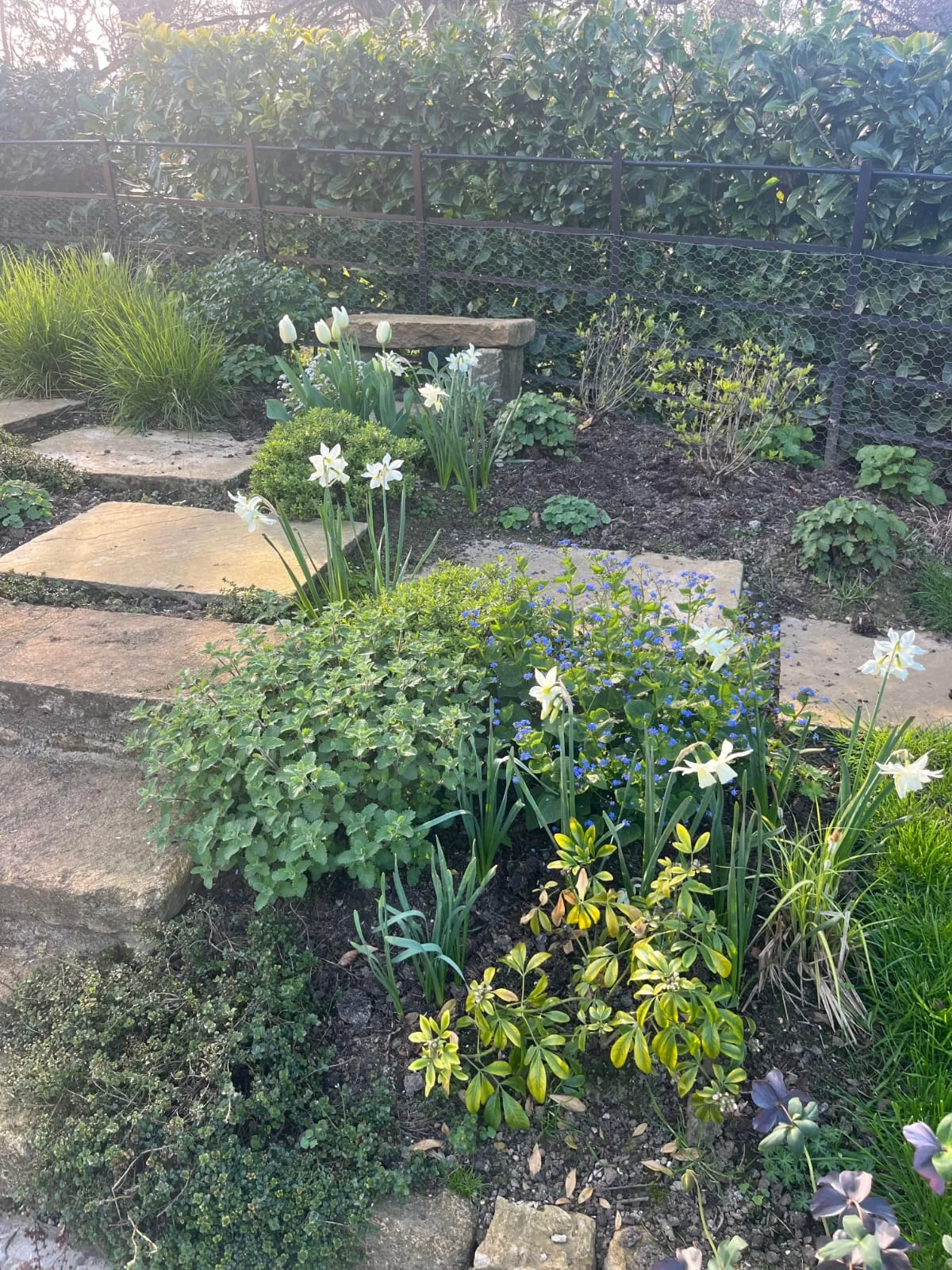 Cottage garden planting beside a newly laid sandstone path